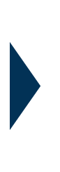 seta